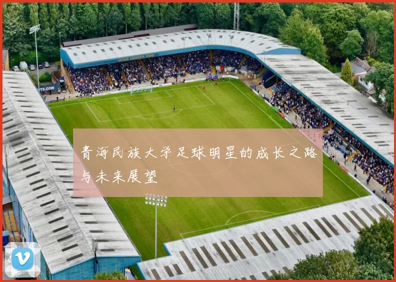 青海民族大学足球明星的成长之路与未来展望