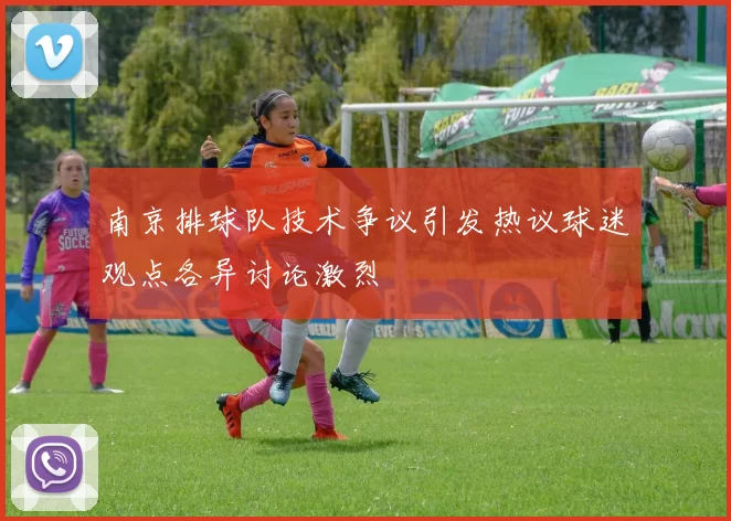 南京排球队技术争议引发热议球迷观点各异讨论激烈