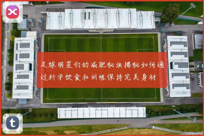 足球明星们的减肥秘诀揭秘如何通过科学饮食和训练保持完美身材