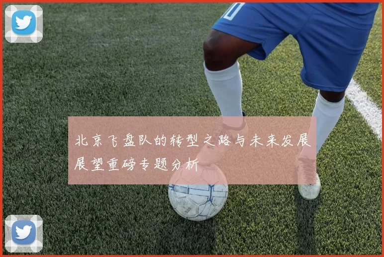 北京飞盘队的转型之路与未来发展展望重磅专题分析