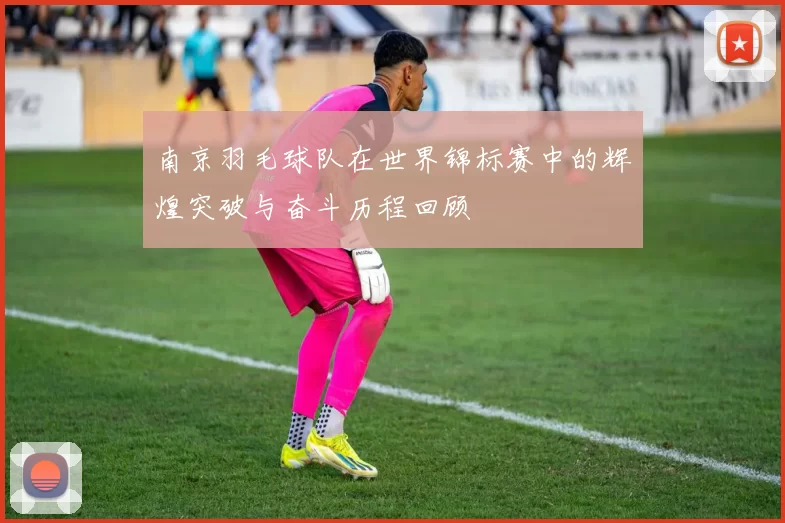南京羽毛球队在世界锦标赛中的辉煌突破与奋斗历程回顾