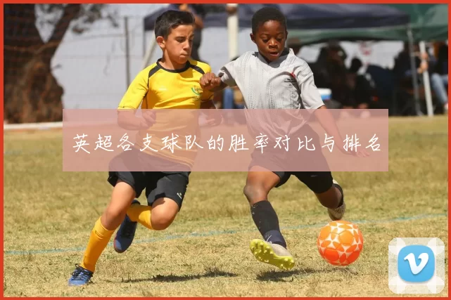 英超各支球队的胜率对比与排名