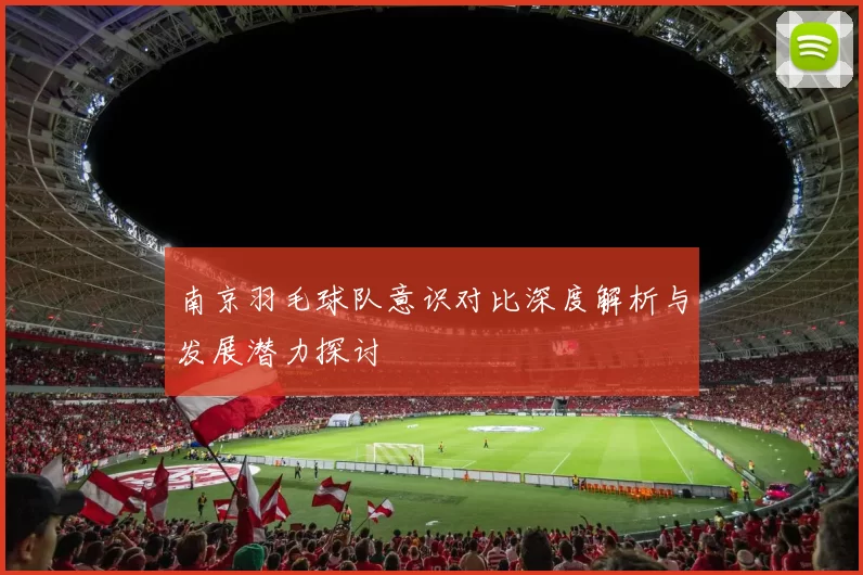 南京羽毛球队意识对比深度解析与发展潜力探讨