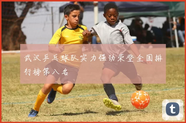 武汉乒乓球队实力强劲荣登全国排行榜第八名