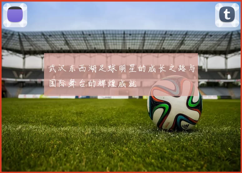 武汉东西湖足球明星的成长之路与国际舞台的辉煌成就