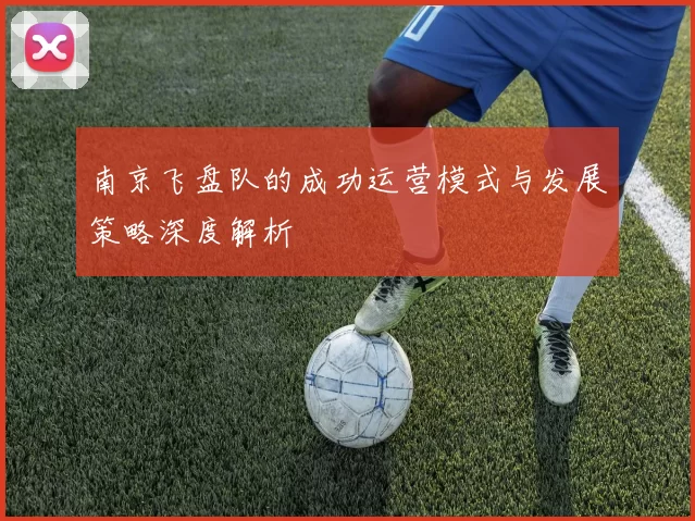 南京飞盘队的成功运营模式与发展策略深度解析