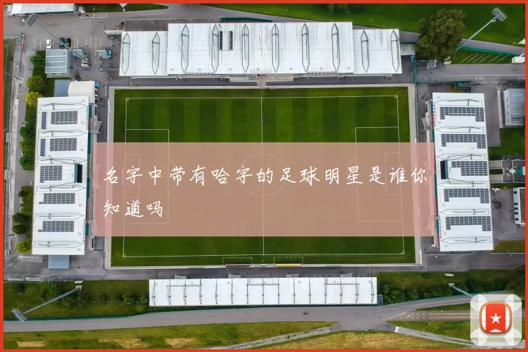 名字中带有哈字的足球明星是谁你知道吗