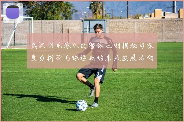 武汉羽毛球队的整体压制揭秘与深度分析羽毛球运动的未来发展方向