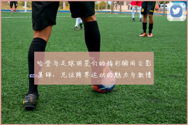哈登与足球明星们的精彩瞬间合影集锦，见证跨界运动的魅力与激情