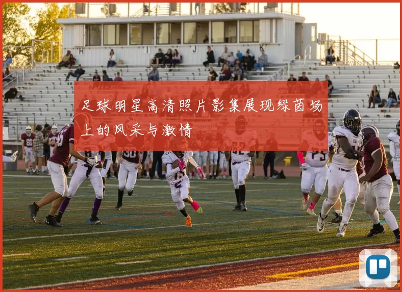 足球明星高清照片影集展现绿茵场上的风采与激情