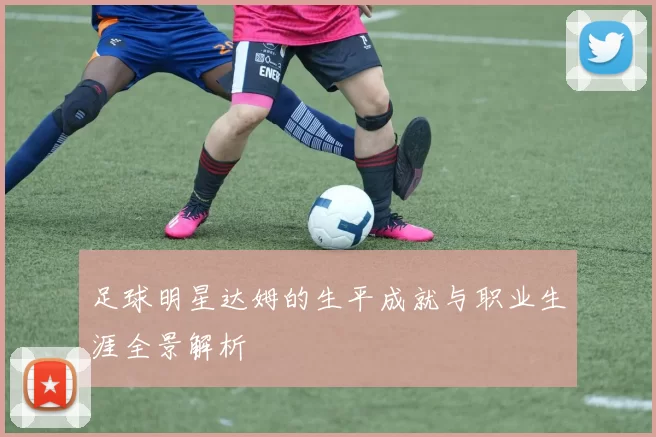 足球明星达姆的生平成就与职业生涯全景解析