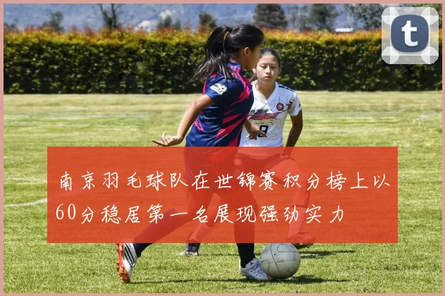 南京羽毛球队在世锦赛积分榜上以60分稳居第一名展现强劲实力