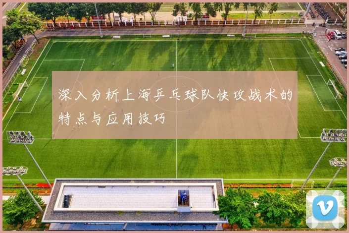 深入分析上海乒乓球队快攻战术的特点与应用技巧