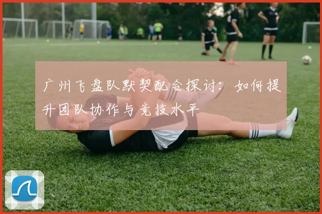 广州飞盘队默契配合探讨：如何提升团队协作与竞技水平
