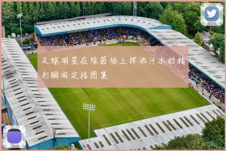 足球明星在绿茵场上挥洒汗水的精彩瞬间定格图集