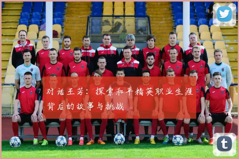 对话王芳：探索和平精英职业生涯背后的故事与挑战
